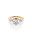14k Oval Harmony Ring