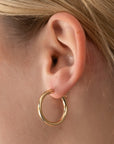 Classic gold hoop earrings with a polished finish