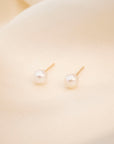 Gold Filled Fresh Water Pearl Studs