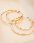 Double Endless Hoops