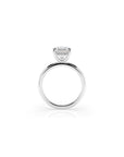 14k Ascher Solitaire Ring | Hidden Halo