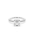 14k Ascher Solitaire Pave Band | Hidden Halo