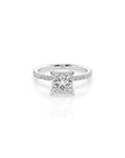 14k Princess Cut Solitaire Pave Band | Hidden Halo