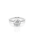 14k Round Solitaire Pave Band | Hidden Halo