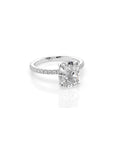 14k Cushion Cut Solitaire Pave Band | Hidden Halo