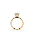 14k Ascher Solitaire Pave Band | Hidden Halo