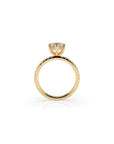 14k Marquise Solitaire Pave Band | Hidden Halo