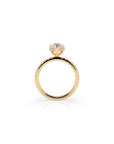 14k Pear Cut Solitaire Pave Band | Hidden Halo