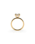 14k Round Solitaire Pave Band | Hidden Halo