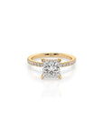 14k Princess Cut Solitaire Pave Band | Hidden Halo