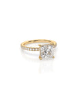 14k Princess Cut Solitaire Pave Band | Hidden Halo