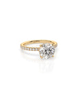 14k Round Solitaire Pave Band | Hidden Halo