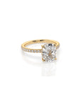 14k Cushion Cut Solitaire Pave Band | Hidden Halo