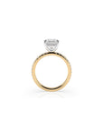 14k Ascher Solitaire Pave Band | Hidden Halo