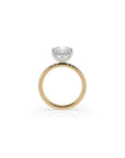 14k Princess Cut Solitaire Pave Band | Hidden Halo