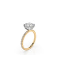14k Ascher Solitaire Pave Band | Hidden Halo