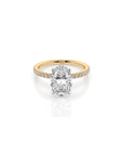 14k Oval Solitaire Pave Band | Hidden Halo