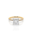 14k Princess Cut Solitaire Pave Band | Hidden Halo