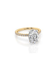 14k Oval Solitaire Pave Band | Hidden Halo
