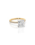 14k Princess Cut Solitaire Pave Band | Hidden Halo
