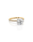 14k Round Solitaire Pave Band | Hidden Halo