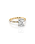 14k Cushion Cut Solitaire Pave Band | Hidden Halo
