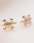 Gold Filled Turtle Stud Earrings
