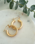 Gold Filled Chubby Hoops