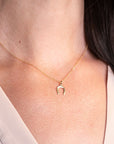 Gold Filled Horseshoe Necklace