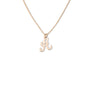 Gold Filled Script Letter Necklace | Script Letter Charm