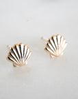 Seashell Earrings, Gold Studs, Seashell Studs, Gold Filled Studs, Earrings, Gold Filled Earrings, 14k Gold Studs