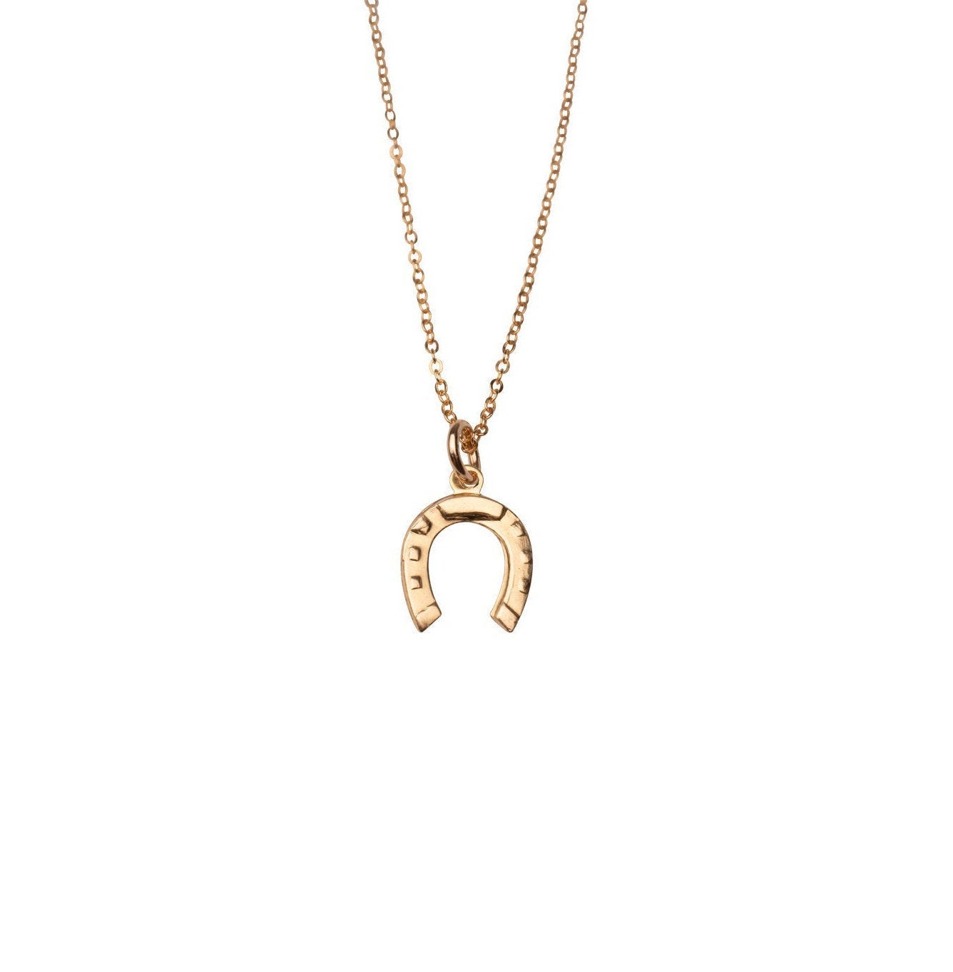 Gold Filled Horseshoe Necklace