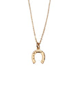 Gold Filled Horseshoe Necklace