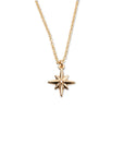 14k Northstar Diamond Necklace