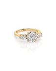 14k Round Harmony Ring