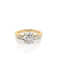 14k Round Harmony Ring