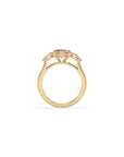 14k Marquise Harmony Ring