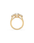 14k Round Harmony Ring