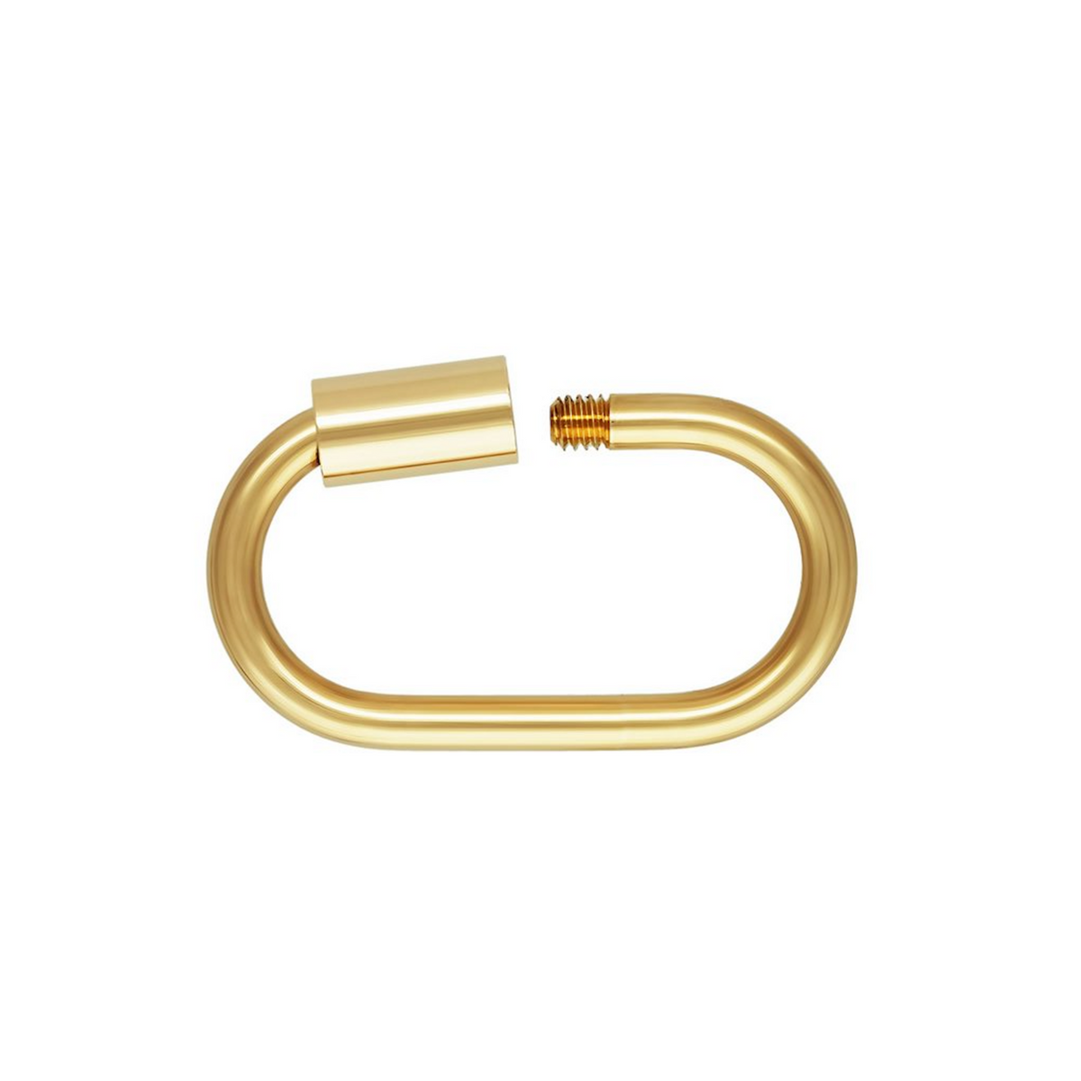Carabiner Necklace