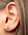 Gold Filled Starfish Stud Earrings