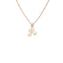 Gold Filled Script Letter Necklace | Script Letter Charm